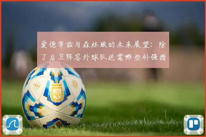 爱德华兹与森林狼的未来展望：除了后卫阵容外球队还需哪些补强措施