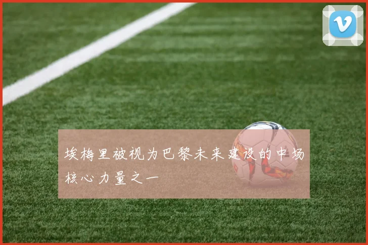 埃梅里被视为巴黎未来建设的中场核心力量之一