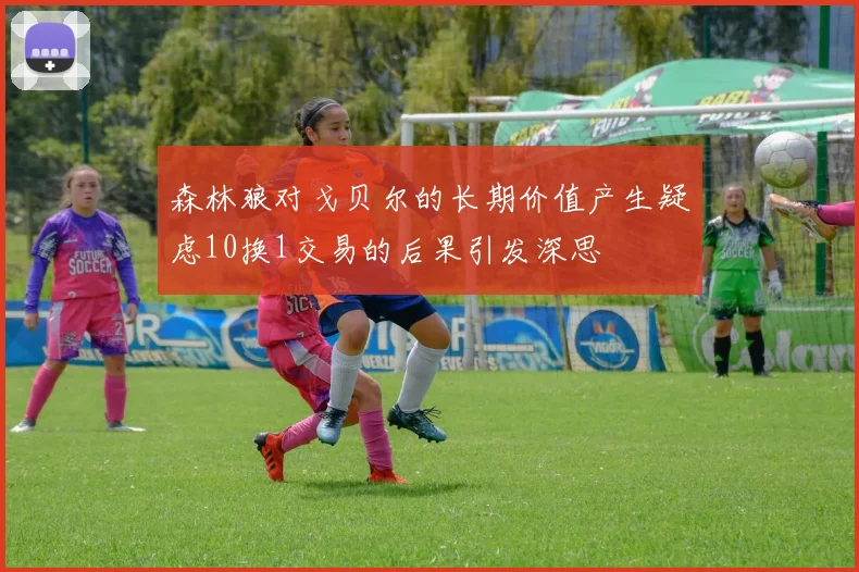 森林狼对戈贝尔的长期价值产生疑虑10换1交易的后果引发深思