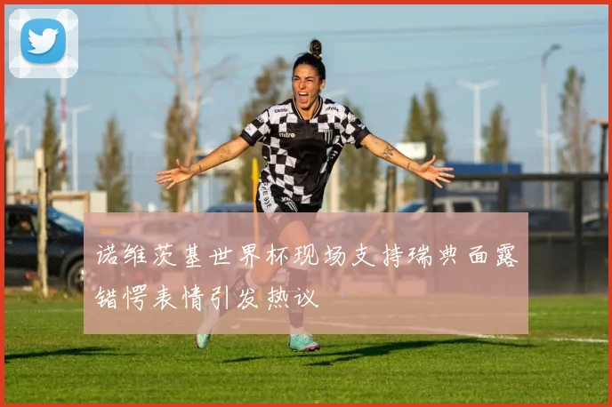 诺维茨基世界杯现场支持瑞典面露错愕表情引发热议